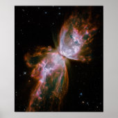 Poster Papillon Nebula (Devant)