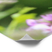 Poster Papillon noir (Coin)