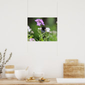 Poster Papillon noir (Cuisine)