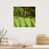 Poster Papillon noir blanc papillon (Cuisine)