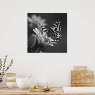 Poster Papillon noir et blanc