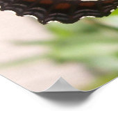 Poster Papillon noir et blanc 49 (Coin)