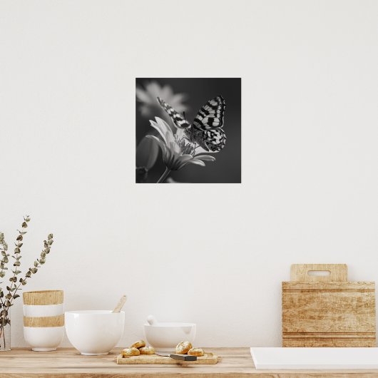 Poster Papillon noir et blanc et fleur (Cuisine)