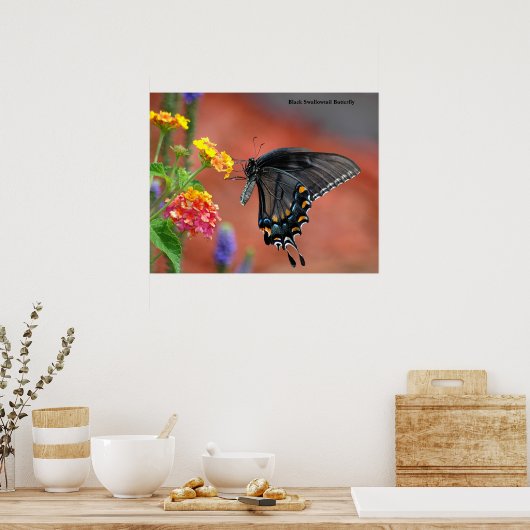 Poster Papillon noir Swallowtail (Cuisine)