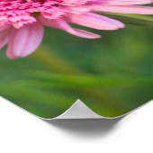 Poster Papillon noir Swallowtail sur Fleur rose foncé (Coin)