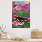Poster Papillon noir Swallowtail sur Fleur rose foncé (Cuisine)