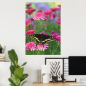 Poster Papillon noir Swallowtail sur Fleur rose foncé (Bureau à domicile)