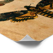 Poster Papillon noir vintage Imprimer (Coin)