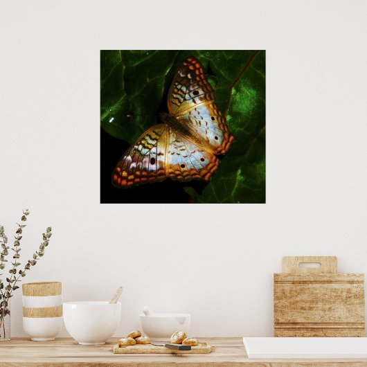 Poster papillon paon (Cuisine)