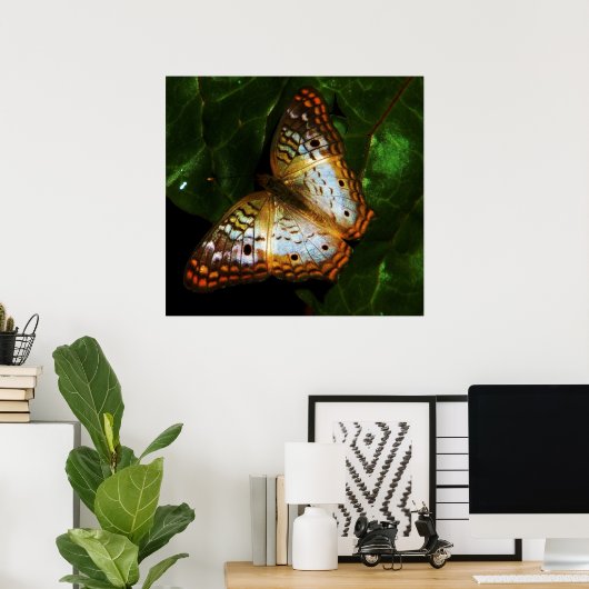 Poster papillon paon (Bureau à domicile)