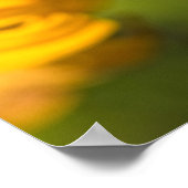 Poster Papillon paon (Coin)