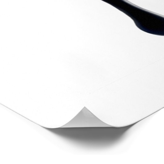 Poster papillon Papilio Ulysses (Coin)