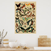 Poster Papillon papillon vintage Ancien art d'illustratio (Cuisine)