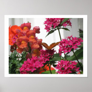 Poster Papillon parmi les fleurs roses et orange