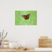 Poster Papillon Peacock (Cuisine)