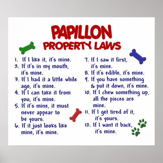 POSTER PAPILLON PL2 (Devant)
