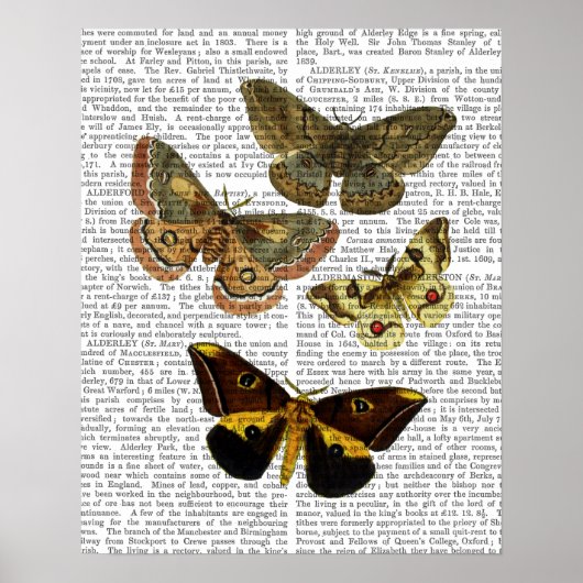 Poster Papillon Planche 4 (Devant)