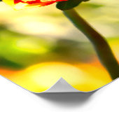 Poster Papillon plus audacieux (Coin)