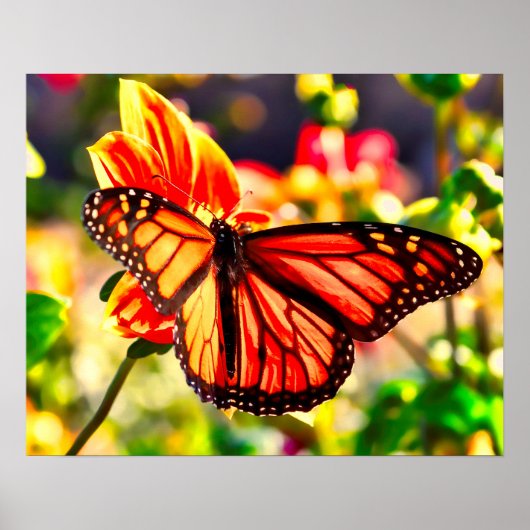 Poster Papillon plus audacieux (Devant)