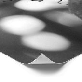 Poster Papillon Posé Dans La Nature Noire Et Blanche (Coin)