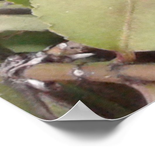 Poster Papillon pourpre à points rouges, Ohio (Coin)