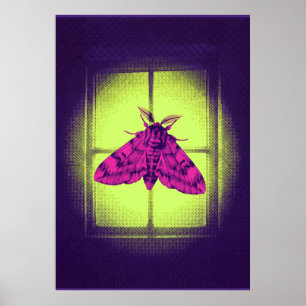 Poster Papillon rose sur une fenêtre vert lime lumineuse