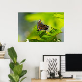 Poster Papillon rouge tacheté pourpre sur la feuille enso (Bureau à domicile)