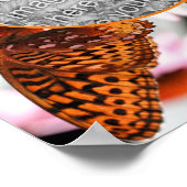 Poster Papillon sur cadre de fleurs Créez votre propre ph (Coin)