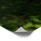 Poster Papillon sur Fleur avec Verse d'Isaïe 40:31 (Coin)