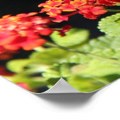 Poster Papillon sur Fleur sauvage, Verse de l'Écriture su (Coin)