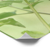 Poster Papillon sur Fleur sauvage, Verse de l'Écriture su (Coin)