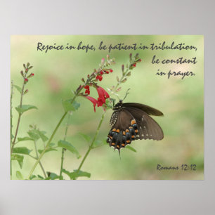 Poster Papillon sur Fleur sauvage, Verse Romans 12:12
