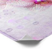 Poster Papillon sur fleurs d'orchidée (Coin)