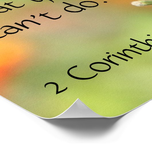 Poster Papillon sur Fleurs sauvages, Verse d'écriture (Coin)