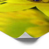 Poster Papillon sur jaune (Coin)