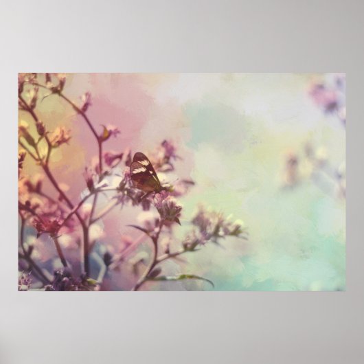 Poster Papillon sur la branche de fleurs (Devant)