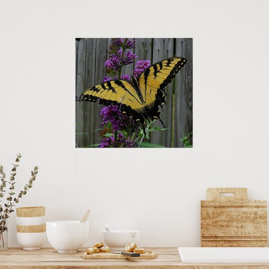 Poster Papillon Swallowtail (Cuisine)