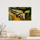 Poster Papillon Swallowtail (Cuisine)