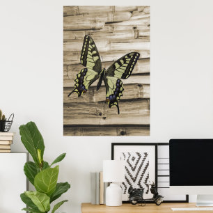 Poster Papillon Swallowtail