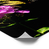 Poster Papillon swallowtail et phlox sauvage (Coin)