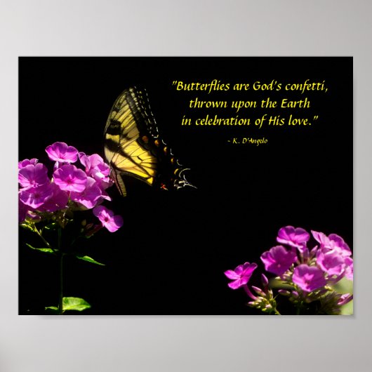 Poster Papillon swallowtail et phlox sauvage (Devant)