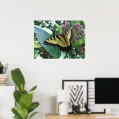 Poster Papillon Swallowtail I sur Asclépiade à Shenandoah (Bureau à domicile)