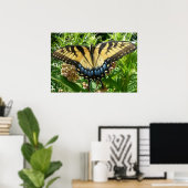 Poster Papillon Swallowtail II à Shenandoah (Bureau à domicile)