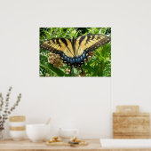 Poster Papillon Swallowtail II à Shenandoah (Cuisine)