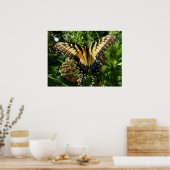 Poster Papillon Swallowtail III Belle photo colorée (Cuisine)