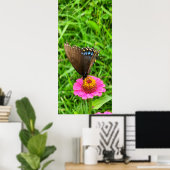 Poster Papillon swallowtail noir sur une fleur rose (Bureau à domicile)
