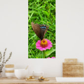 Poster Papillon swallowtail noir sur une fleur rose (Cuisine)