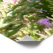 Poster Papillon Swallowtail sur Fleurs sauvages pourpres (Coin)