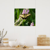 Poster Papillon Swallowtail sur Fleurs sauvages pourpres (Cuisine)