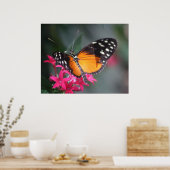 Poster Papillon tacheté noir et orange 2 (Cuisine)
